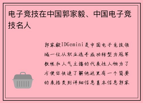 电子竞技在中国郭家毅、中国电子竞技名人